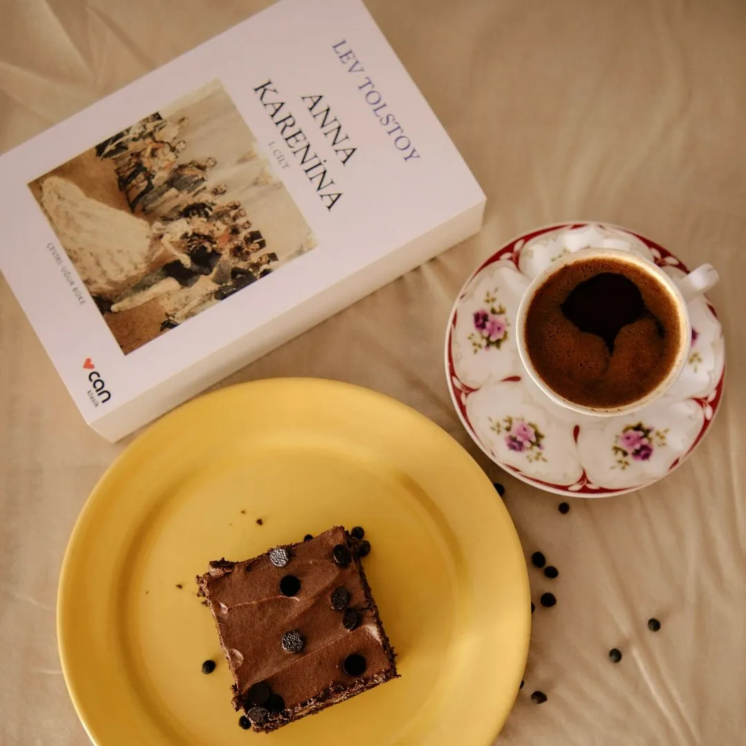 Anna Karenina by Leo Tolstoy Sad Girl Book Recommendation