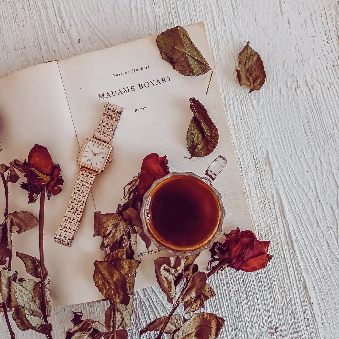 Madame Bovary by Gustave Flaubert Sad Girl Book