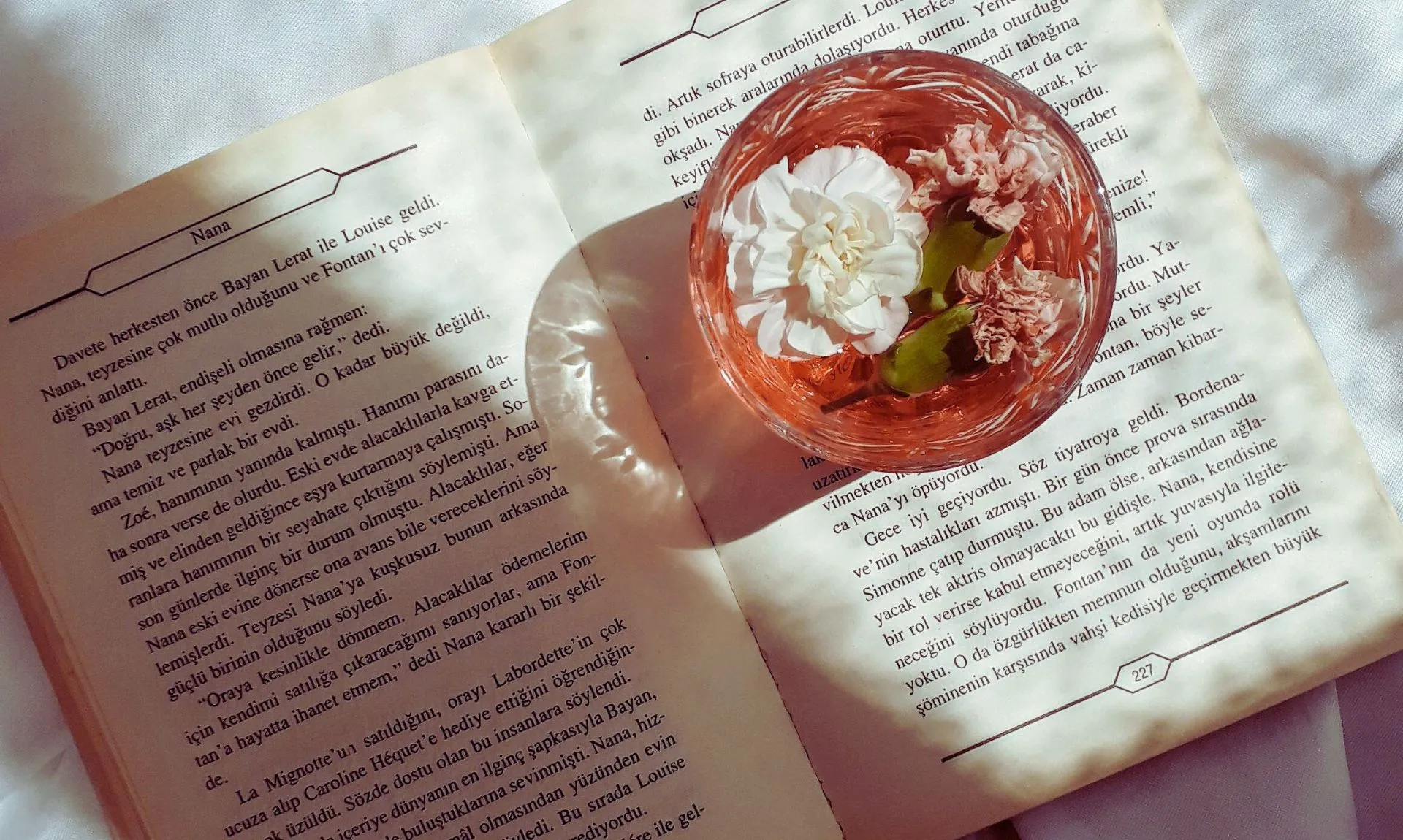 Book and a cup of tea