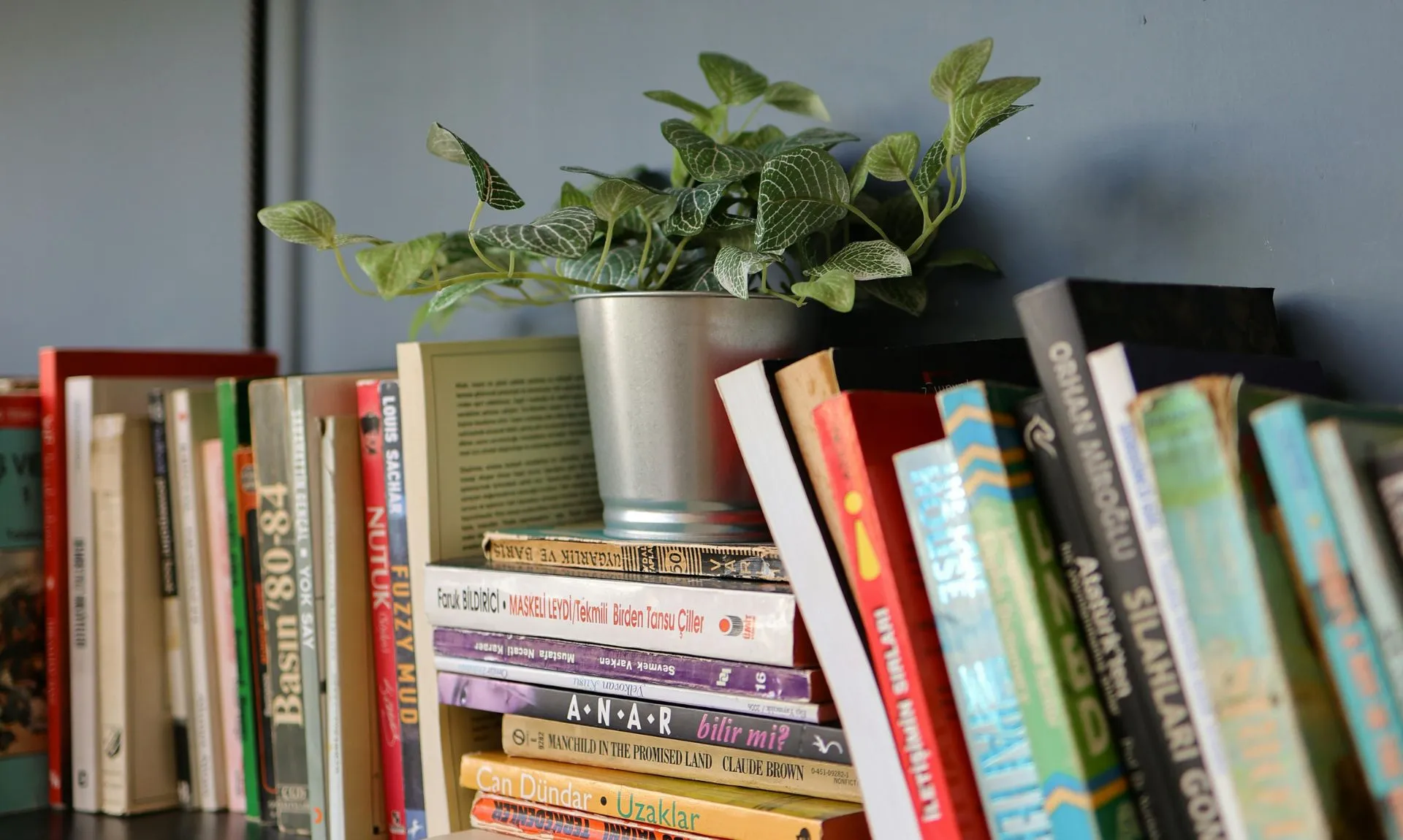 a stack of books with a planter