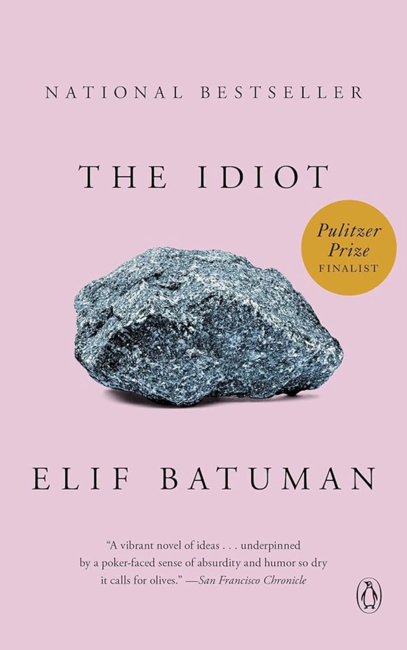 the idiot by elif batuman