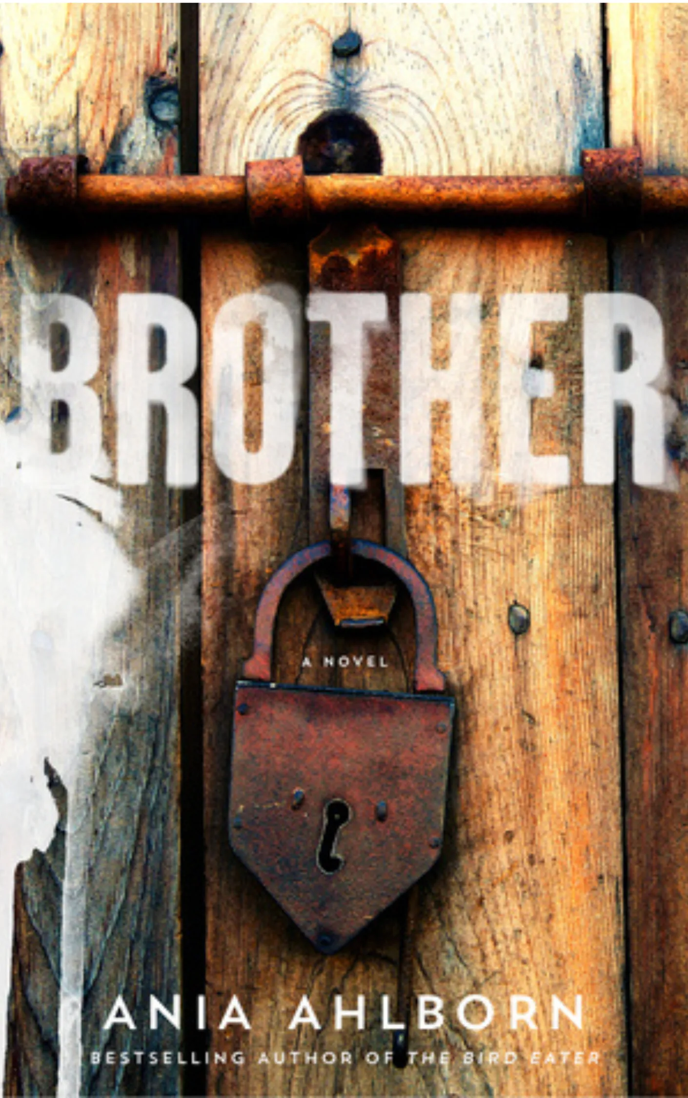 Book cover of Brother by Ania Ahlborn.
