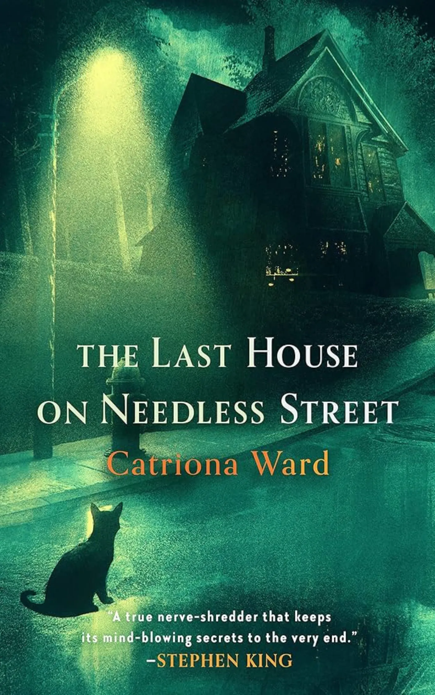 Book cover of The Last House on Needless Street by Catriona Ward.