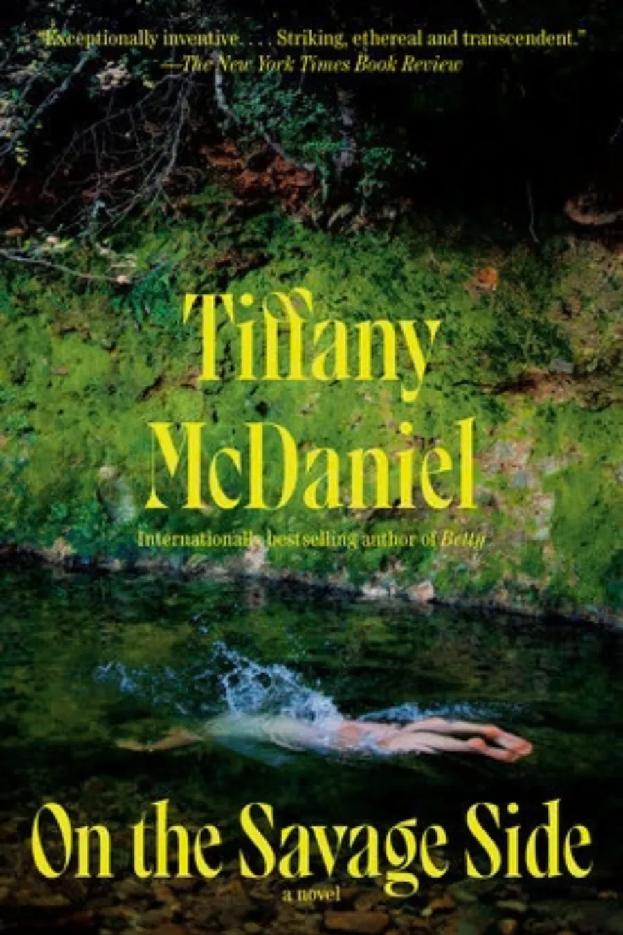Book cover of On the Savage Side by Tiffany McDaniel, an unsettling unhinged novel about twin sisters, missing women, and forgotten communities.