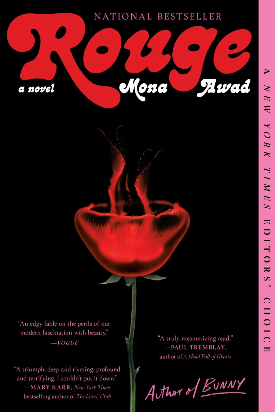 Book cover of Rouge by Mona Awad, one of the unhinged books exploring beauty, obsession, and disturbing skincare rituals.