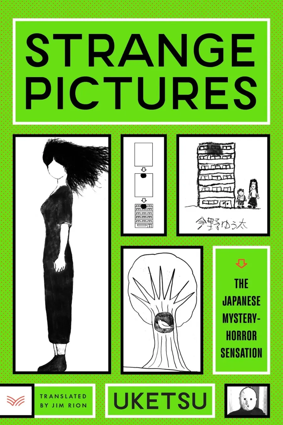 Book cover of Strange Pictures by Uketsu, one of the unhinged books featuring eerie drawings, hidden clues, and psychological horror.